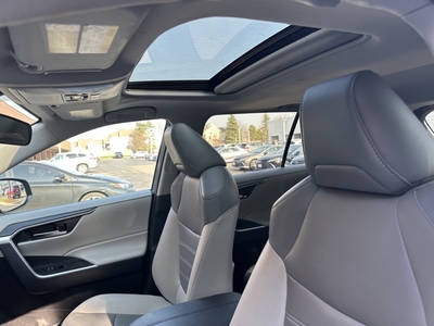 2019 Toyota RAV4 XLE Premium in Westmont, IL