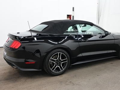 2019 Ford Mustang EcoBoost in Columbia, MD
