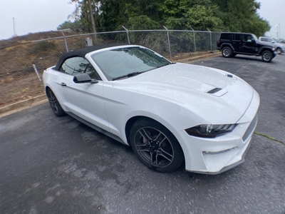 2019 Ford Mustang EcoBoost Premium in Jasper, GA