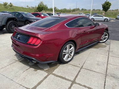 2019 Ford Mustang EcoBoost Premium in Kansas City, KS