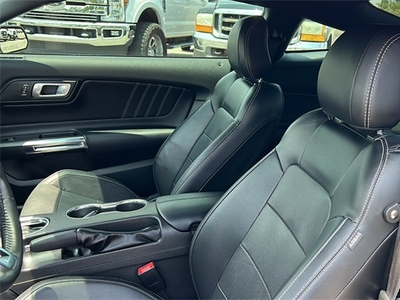 2019 Ford Mustang GT Premium in Jacksonville, FL