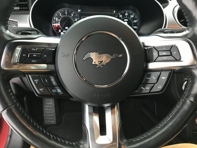 2019 Ford Mustang GT Premium in Robstown, TX