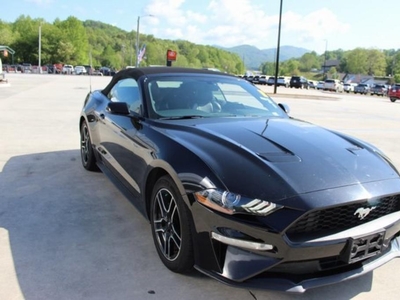 2020 Ford Mustang EcoBoost Premium in Toccoa, GA