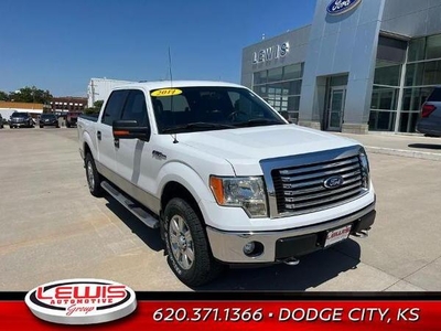 2011 Ford F-150 for Sale in Northwoods, Illinois