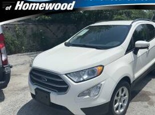 Ford EcoSport 1000