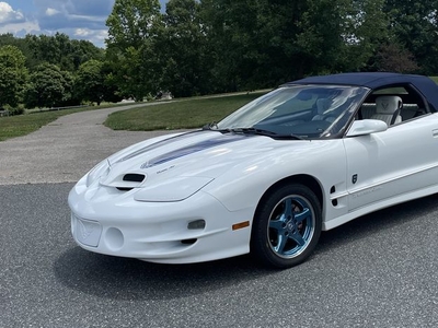 1999 Pontiac Trans Am Convertible