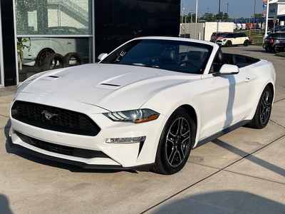 2020 Ford Mustang EcoBoost in Knoxville, TN