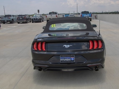 2021 Ford Mustang EcoBoost Premium in Baytown, TX