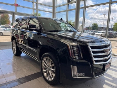 2020 Cadillac Escalade Premium Luxury in Middleton, WI