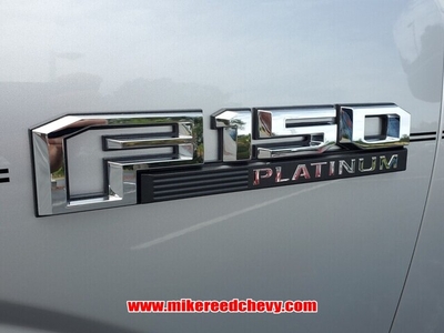 2019 Ford F-150 Platinum in Hinesville, GA
