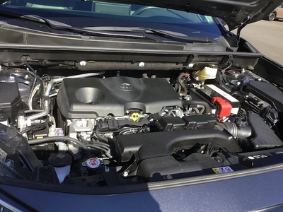 2019 Toyota RAV4 XLE Premium in Wilsonville, OR