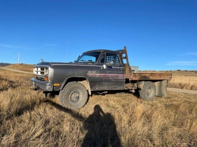 FOR SALE: 1990 Dodge W250 $16,995 USD