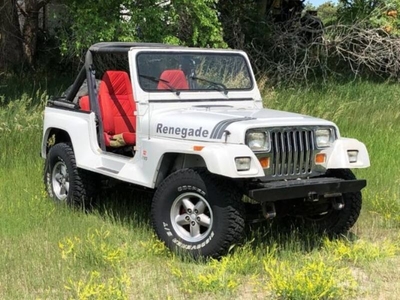 FOR SALE: 1991 Jeep Wrangler $16,895 USD