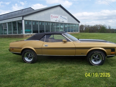 1973 Ford Mustang Convertible For Sale