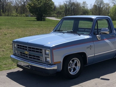 1987 Chevrolet R10 Pickup For Sale