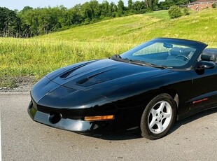 1995 Pontiac Trans Am Convertible