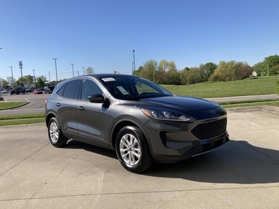 2020 Ford Escape AWD SE in Greenwood, IN