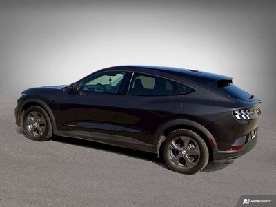 2022 Ford Mustang Mach-E Select in Stratford, Brantford, Windsor, ON