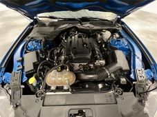 2019 Ford Mustang EcoBoost Premium in Memphis, TN