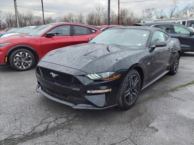 New 2023 Ford Mustang GT Premium w/ Equipment Group 401A