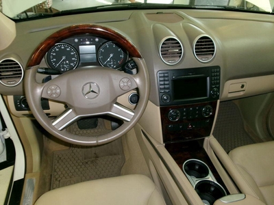2010 Mercedes-Benz M-Class ML350 in Tampa, FL