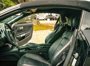 2017 Ford Mustang GT Premium in Boerne, TX