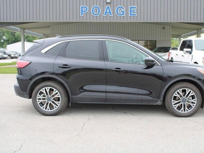 2020 Ford Escape SEL in Bowling Green, MO