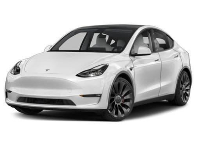 2023 Tesla Model Y for Sale in Denver, Colorado