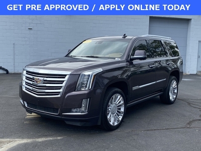 2015 Cadillac Escalade Platinum Edition in Plymouth, MI