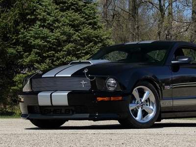 2007 Ford Shelby For Sale