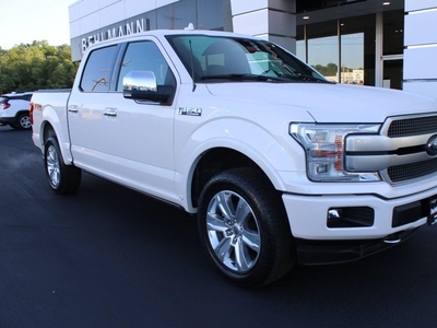 2019 Ford F-150 4WD Platinum SuperCrew in Troy, MO