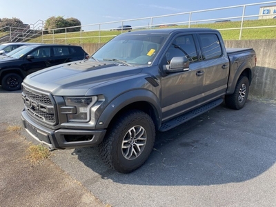 Used 2018 Ford F150 Raptor w/ Equipment Group 802A Luxury
