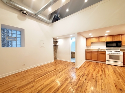 1112 W 18th St, Chicago, IL 60608 - Apartment for Rent