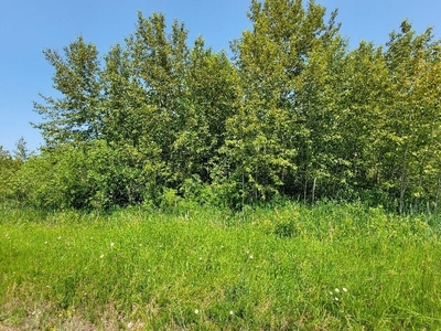 Lot # 107 Dundee Drive