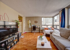 440 N Wabash Ave #1010, Chicago, IL 60611