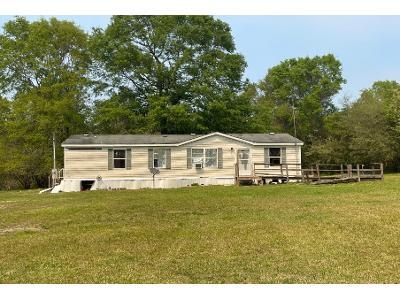 Foreclosure Single-family Home In Perkinston, Mississippi