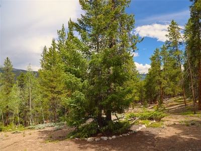 1-A PRCL 1-A TRACT 14, TWIN LAKES, CO, 81251 | for sale, Land sales
