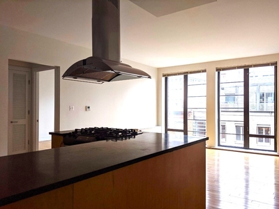 Front St, New York, NY, 10038, New York, NY, 10038 | 1 BR for rent, 1 bedroom apartment rentals