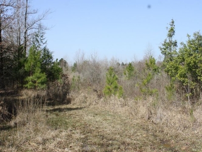 Lots and Land: MLS #23005805