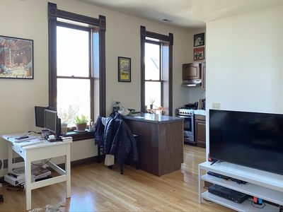 959 W Armitage Ave, Chicago, IL 60614 - Apartment for Rent
