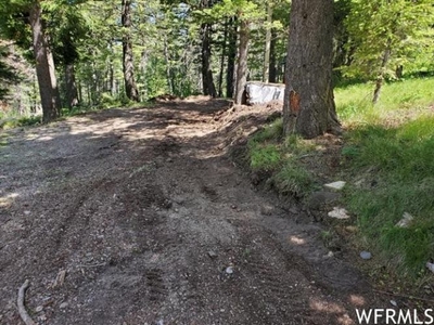 Lots and Land: MLS #1886055