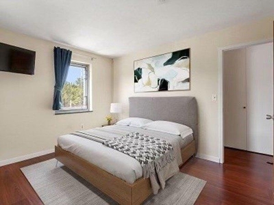 1 bedroom, Belmont MA 02478