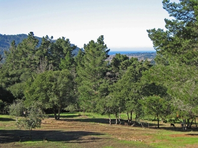 Development Land in Carmel Valley, United States