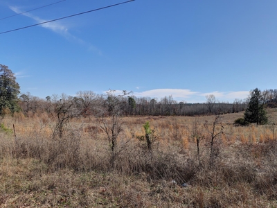 Lots and Land: MLS #24005867