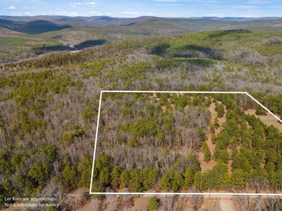 Lots and Land: MLS #24007109