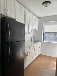 3221 W Diversey Ave, Chicago, IL 60647 - Apartment for Rent