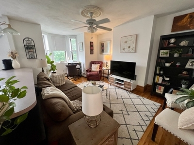 91 East Brookline Street #4, Boston, MA 02118 - Apartment for Rent