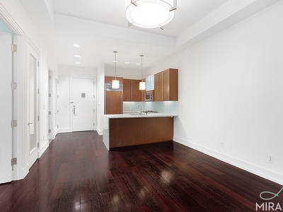 2 Water Street, New York, NY, 10004 | 1 BR for rent, apartment rentals