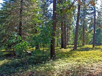 Pollock Pines CA 95726