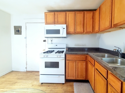 1905 W Foster Avenue, Chicago, IL 60640 - Apartment for Rent